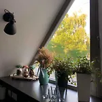 Dale - Jen Tak Si Zit ...