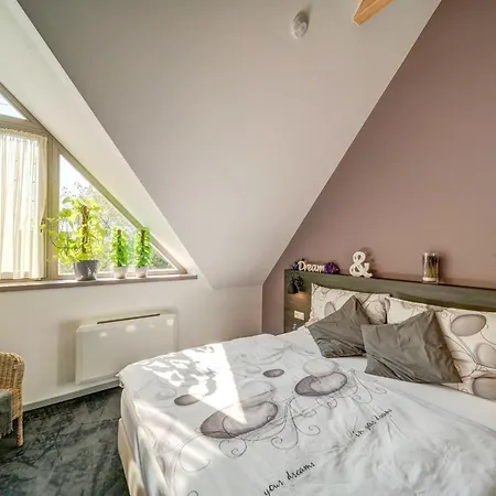 Dale - Jen Tak Si Zit ...