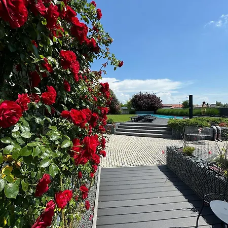 Гостевой дом Dale - Jen Tak Si Zit ...