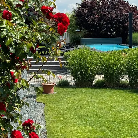 Dale - Jen Tak Si Zit ... Novy Prerov